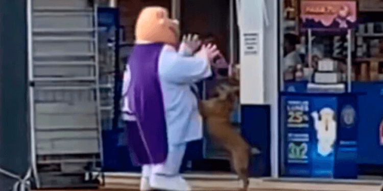 Captan a botarga del Doctor Simi jugando con un perrito callejero