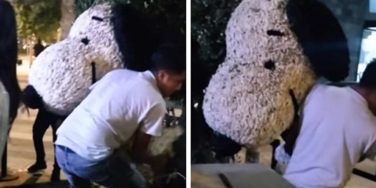 VIDEO: Así se llevaron a Snoopy de flores en pleno Festival en Polanco CDMX
