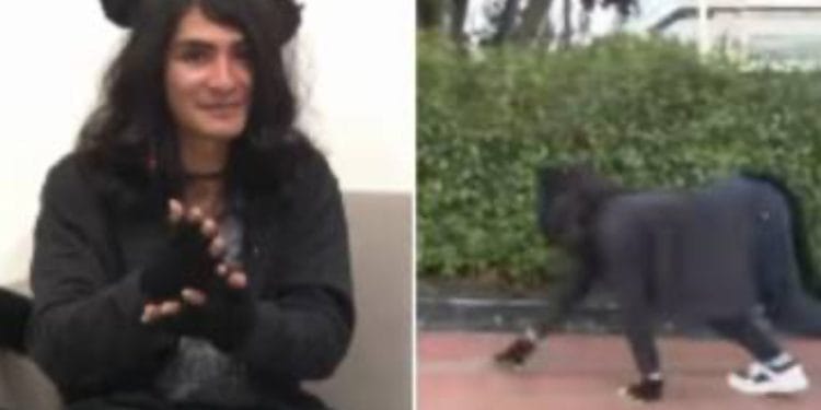 Joven estudiante aseguró que “se identifica como una pantera”: recorre la ciudad en cuatro patas