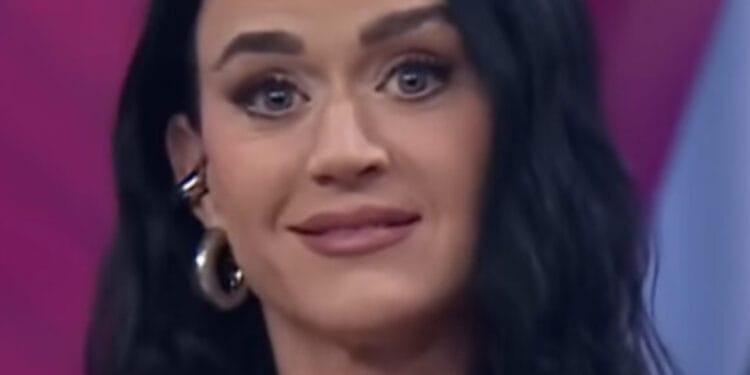 Un fan mexicano se subió al escenario de Katy Perry y le pidió disculpas por ir a Venga la Alegría en pleno concierto