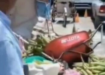 Mujer derriba el puesto ambulante de un hombre porque le tapaba su local