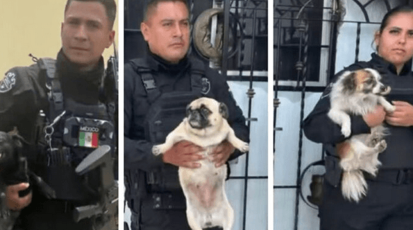 VIDEO: ¡Héroes sin capa! Policías arriesgan su vida para rescatar a tres perritos de un incendio