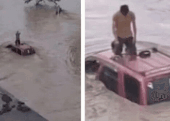 El momento en que joven reza hincado sobre camioneta; quedó atrapado en inundación en Veracruz