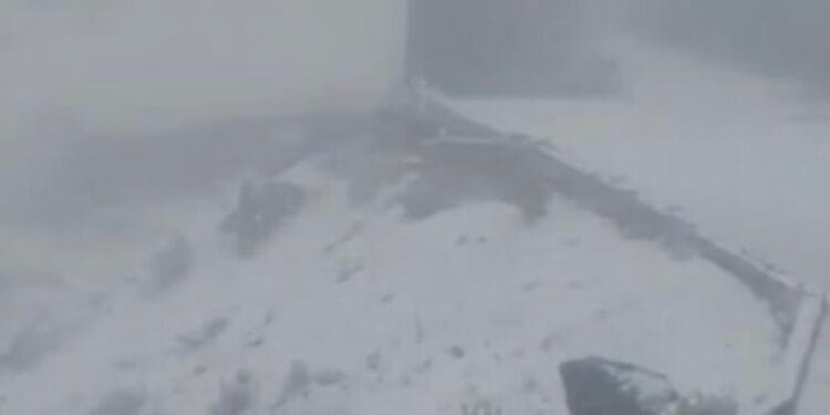 Cae la primera nevada de la temporada en el Cofre de Perote, Veracruz