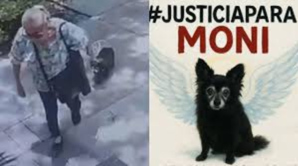 Tras meses detenida, liberan a adulta mayor que mató a una perrita y la enterró en jardín de Coyoacán