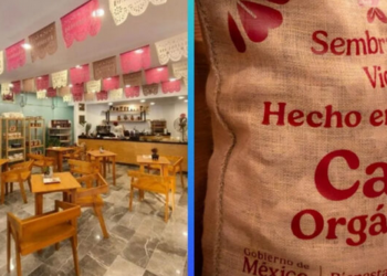 VIDEO: Esta es la Cafetería del Bienestar que desafía a Starbucks en CDMX