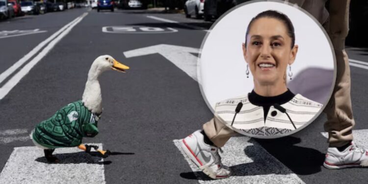 Claudia Sheinbaum invita al pato Merlín a la mañanera: la mascota no oficial del Mundial 2026 conquista hasta Palacio Nacional