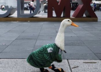 VIDEO: ¡Pato Merlín ya es embajador oficial de la Ciudad de México en el Mundial 2026!