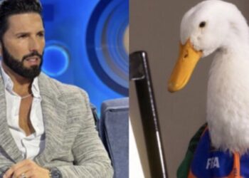 Poncho de Nigris ofrece hasta 600 mil pesos por el Pato Merlín y desata polémica en redes sociales