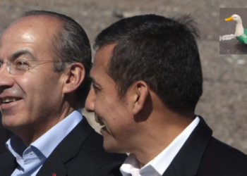 Calderón lanza dardo a la FIFA tras nombrar embajador al pato Merlín: «deberían darle regalías»