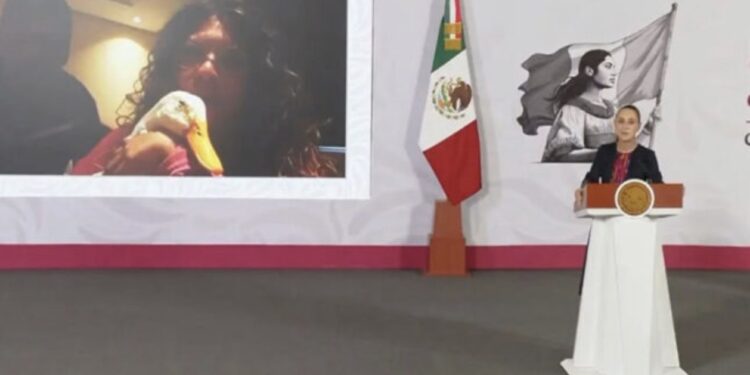 VIDEO: Pato Merlín y su familia ya tienen casa propia; Sheinbaum revela cómo recibieron apoyo del INVI