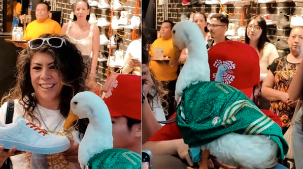 VIDEO: El Pato Merlín ya tiene su línea de tenis, es una edición limitada de 500 pares