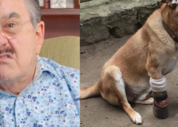 Convocan marcha contra Pedro Sola frente a TV Azteca para exigir su salida tras polémica sobre perros