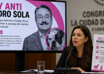 Diputada propone «Ley Anti Pedro Sola»: buscan hasta seis años de prisión por promover el maltrato animal