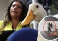Dueña del Pato Merlín desata polémica tras mostrar una figura de Baphomet en un video