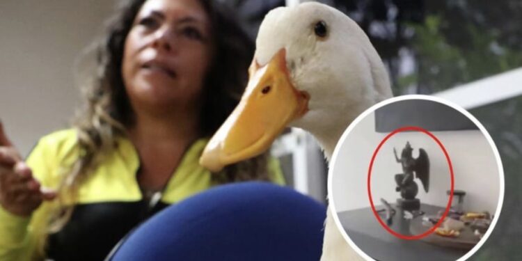 Dueña del Pato Merlín desata polémica tras mostrar una figura de Baphomet en un video