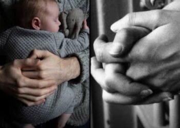 Partido Verde propone cárcel para quienes atribuyan una falsa paternidad