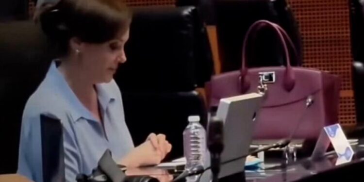 VIDEO: Lilly Téllez causa debate por bolsa Ferragamo valuada en más de 77 mil pesos
