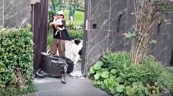 VIDEO: ¿Su mascota o su bebé? Mujer toma inesperada decisión durante el ataque de un perro