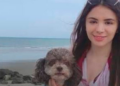 VIDEO: Perrito Salomón llora por su dueña Lenny, quien perdió la vida protegiéndolo durante el terremoto