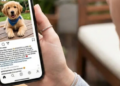 ¡Adiós a la venta de perros y gatos! Congreso de CDMX prohíbe su venta redes sociales