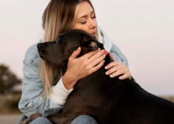 VIDEO: Proponen tres días de permiso laboral por el fallecimiento de una mascota