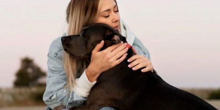 VIDEO: Proponen tres días de permiso laboral por el fallecimiento de una mascota