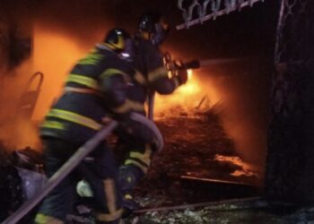 Pierden la vida 14 perritos en incendio en CDMX; cohete habría caído en su casa
