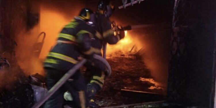 Pierden la vida 14 perritos en incendio en CDMX; cohete habría caído en su casa