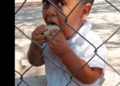 VIDEO: ¡El amor de mamá! Niño disfruta de sus taquitos que le llevaron a la hora del recreo
