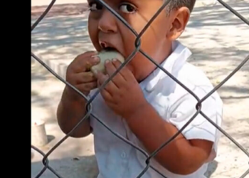 VIDEO: ¡El amor de mamá! Niño disfruta de sus taquitos que le llevaron a la hora del recreo
