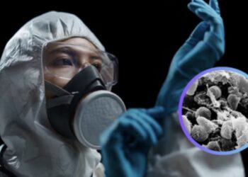 Peste pulmonar: qué es, cómo se contagia y cuáles son sus síntomas