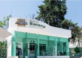 VIDEO: Joven extravía la tarjeta del Bienestar de su mamá y explota en redes tras saber que tardan más de un año en reponerla
