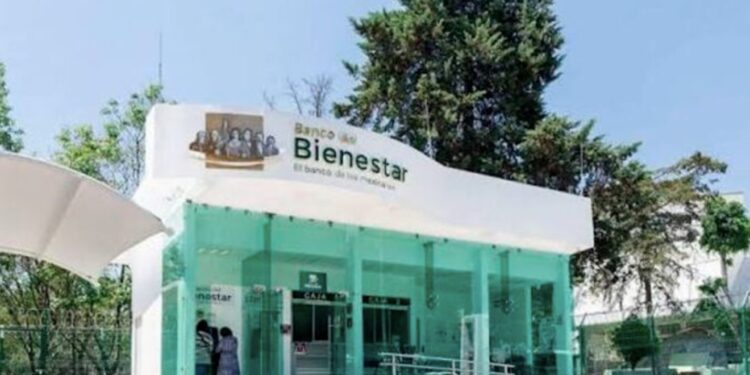 VIDEO: Joven extravía la tarjeta del Bienestar de su mamá y explota en redes tras saber que tardan más de un año en reponerla