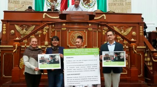 Proponen 3 días de permiso laboral en CDMX por el fallecimiento de una mascota