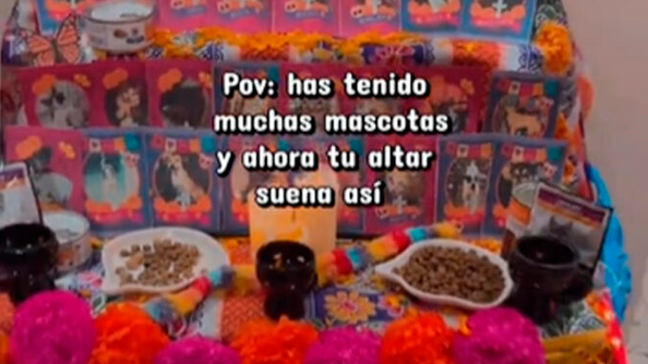 VIDEO: ¡NO FALTÓ NINGUNO! Familia coloca las fotos de TODAS sus mascotas fallecidas en una emotiva ofrenda de Día de Muertos y hasta les pasa lista