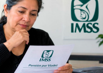 ¡Cuidado con el trámite! Esposa vs. Concubina: ¿Quién cobra la Pensión por Viudez del IMSS en 2026?